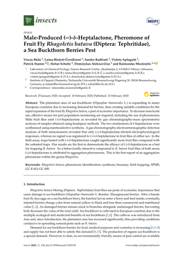 Male-Produced (-)–Heptalactone, Pheromone of Fruit Fly