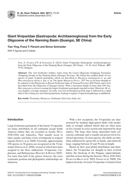 From the Early Oligocene of the Nanning Basin (Guangxi, SE China)