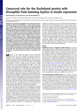 Conserved Role for the Dachshund Protein with Drosophila Pax6 Homolog Eyeless in Insulin Expression