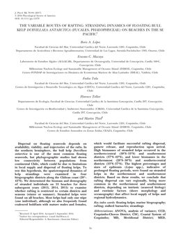 Stranding Dynamics of Floating Bull Kelp Durvillaea Antarctica (Fucales, Phaeophyceae) on Beaches in the Se Pacific1