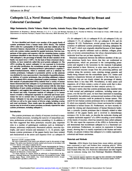 Cathepsin L2, a Novel Human Cysteine Proteinase Produced by Breast and Colorectal Carcinomas1