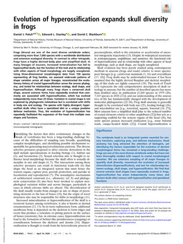 Evolution of Hyperossification Expands Skull Diversity in Frogs