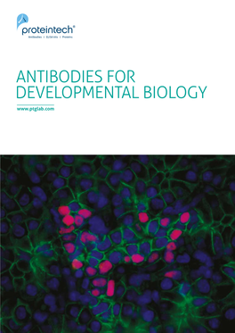 Developmental Biology Catalog