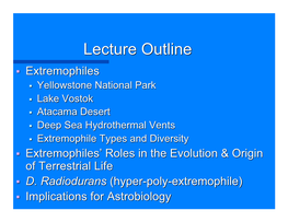 Extremophiles 90C