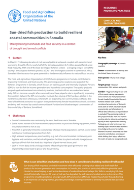 Sun-Dried Fish Production to Build Resilient Coastal Communities in Somalia