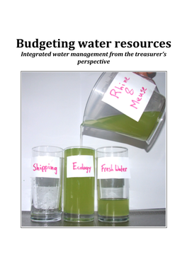 Budgeting Water Resources Integrated Water Management from the Treasurer’S Perspective