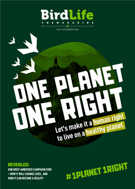 Let's Make It a Human Right to Live on a Healthy Planet