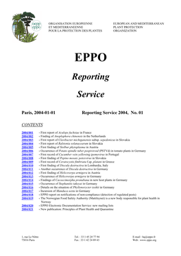 Reporting Service 2004, No