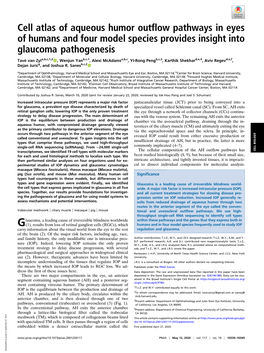 Cell Atlas of Aqueous Humor Outflow Pathways in Eyes of Humans and Four Model Species Provides Insight Into Glaucoma Pathogenesis