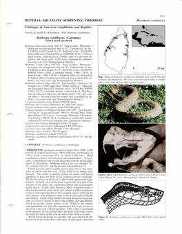 REPTILIA: SQUAMATA: SERPENTES: VIPERIDAE Bothro S