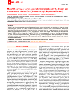 Microct Survey of Larval Skeletal Mineralization in the Cuban Gar Atractosteus Tristoechus (Actinopterygii; Lepisosteiformes)