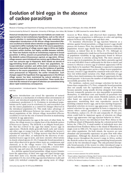 Evolution of Bird Eggs in the Absence of Cuckoo Parasitism