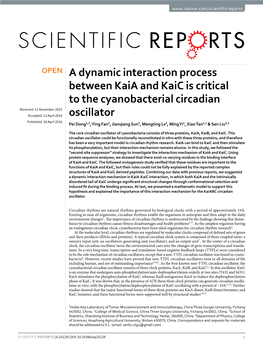 A Dynamic Interaction Process Between Kaia and Kaic Is Critical To