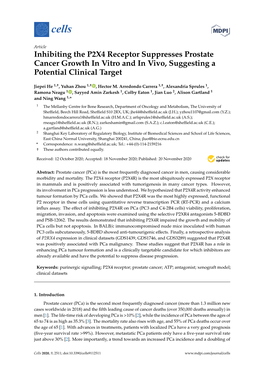 Inhibiting the P2X4 Receptor Suppresses Prostate Cancer Growth in Vitro and in Vivo, Suggesting a Potential Clinical Target