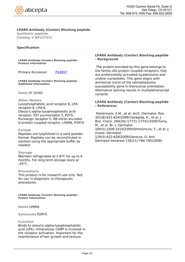 LPAR6 Antibody (Center) Blocking Peptide Synthetic Peptide Catalog # Bp12707c