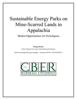 Sustainable Energy Parks on Mine-Scarred Lands In