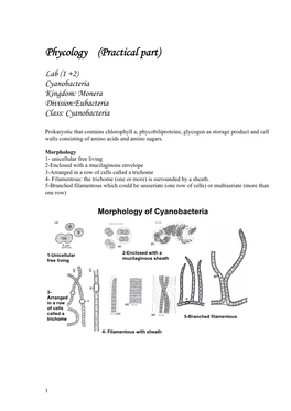 Phycology (Practical Part)