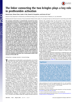 The Linker Connecting the Two Kringles Plays a Key Role in Prothrombin Activation