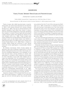 Between Retroviruses and Pararetroviruses