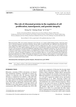 SCIENCE CHINA the Role of Ribosomal Proteins in the Regulation