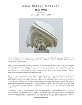 TONY CRAGG Sculptures January 23 – March 6, 2017