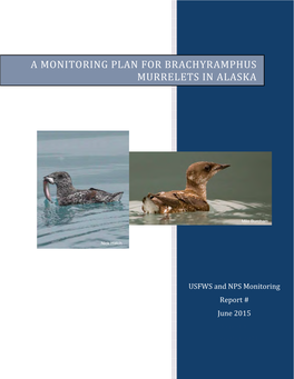 A Monitoring Plan for Brachyramphus Murrelets in Alaska