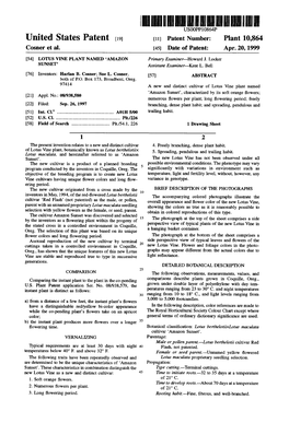 United States Patent (19) 11) Patent Number: Plant 10,864 Cosner Et Al