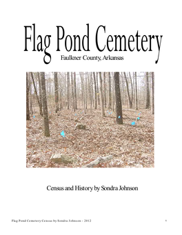Faulkner County, Arkansas Census and History by Sondra Johnson
