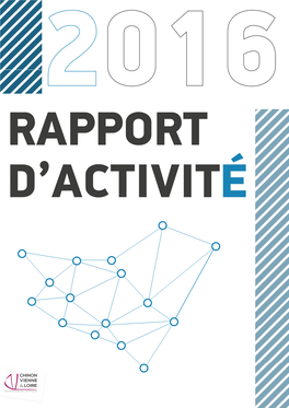 Rapport D'activité