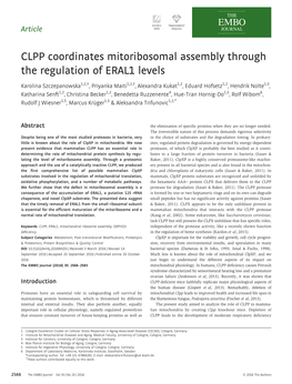 CLPP Coordinates Mitoribosomal Assembly Through the Regulation of ERAL1 Levels