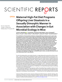 Maternal High-Fat Diet Programs Offspring Liver Steatosis in A