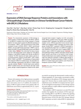 Expression of DNA Damage Response Proteins and Associations with Clinicopathologic Characteristics in Chinese Familial Breast Cancer Patients with BRCA1/2 Mutations