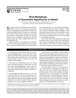 Root Mealybugs of Quarantine Significance in Hawaii Arnold H