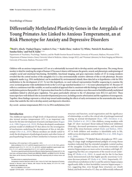 Differentially Methylated Plasticity Genes in the Amygdala of Young
