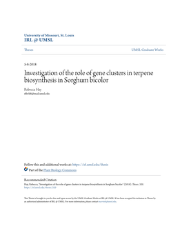 Investigation of the Role of Gene Clusters in Terpene Biosynthesis in Sorghum Bicolor Rebecca Hay Rfhvh8@Mail.Umsl.Edu