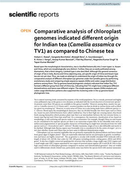 Comparative Analysis of Chloroplast Genomes Indicated Diferent Origin for Indian Tea (Camellia Assamica Cv TV1) As Compared to Chinese Tea Hukam C