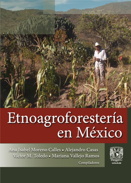 Etnoagroforestería En México