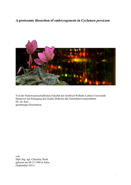 A Proteomic Dissection of Embryogenesis in Cyclamen Persicum