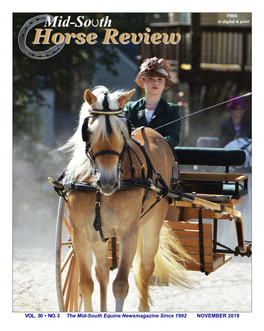 Horses Horse Review