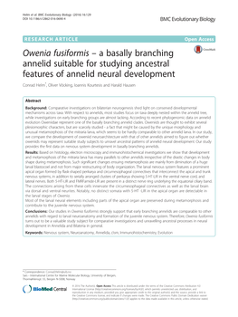 Owenia Fusiformis – a Basally Branching Annelid Suitable For