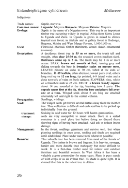 Entandrophragma Cylindricum Meliaceae