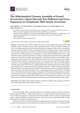 The Mitochondrial Genome Assembly of Fennel (Foeniculum Vulgare) Reveals Two Diﬀerent Atp6 Gene Sequences in Cytoplasmic Male Sterile Accessions