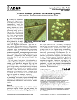 Coconut Scale (Aspidiotus Destructor Signoret) Donald Nafus, Ph.D., Associate Professor of Entomology, University of Guam