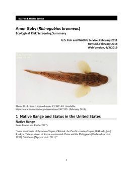 Rhinogobius Brunneus (Amur Goby) Ecological Risk Screening Summary