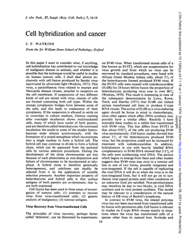 Cell Hybridization and Cancer