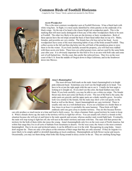 Common Birds of Foothill Horizons Compiled by Pam “Tenaya” Hardy, Updated and Amended by Dan Webster