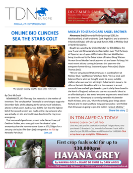 Online Bid Clinches Sea the Stars Colt Cont