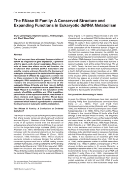 The Rnase III Family: a Conserved Structure and Expanding Functions in Eukaryotic Dsrna Metabolism