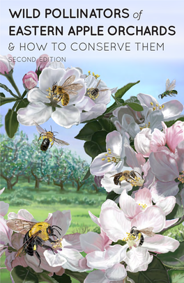 WILD POLLINATORS of EASTERN APPLE ORCHARDS & HOW to CONSERVE THEM Second Edition CITATION: Park, M., Et Al