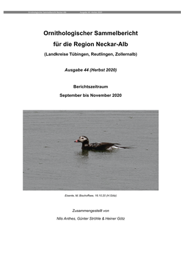 Ornithologischer Sammelbericht Für Die Region Neckar-Alb